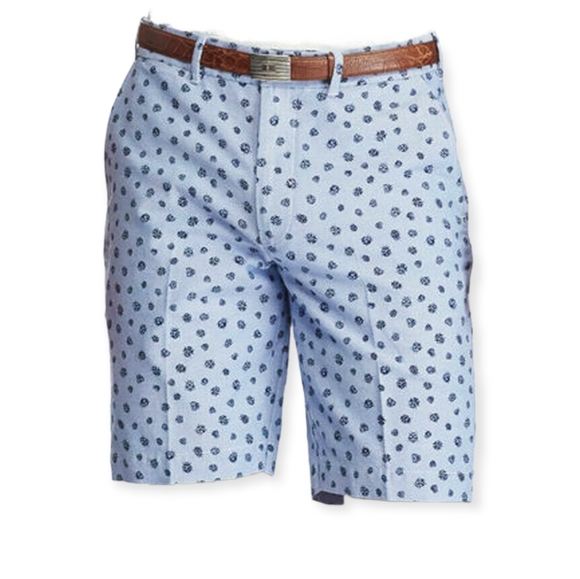 POLO GOLF Shorts Polo Golf 3 40 Oxford Chino Ladybug Shorts Poshmark